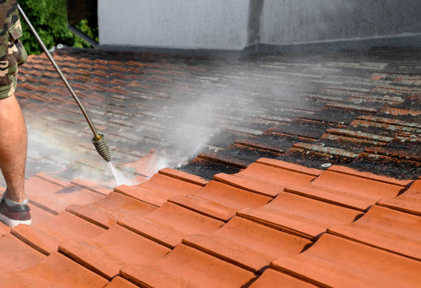 Best Best Pressure Washing Companies  in Mount Vernon, VA