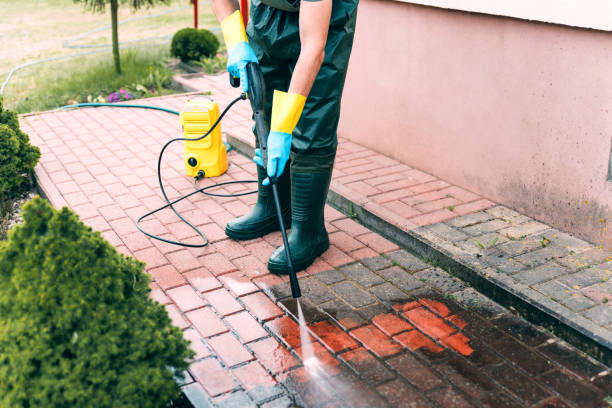 Best Commercial Building Pressure Washing  in Mount Vernon, VA