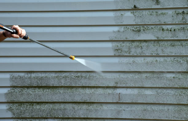 Best Residential Pressure Washing Services  in Mount Vernon, VA