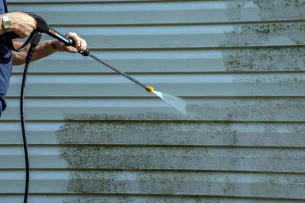 Best Garage Pressure Washing  in Mount Vernon, VA